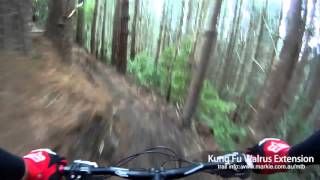 MTB-TV - Rotorua Redwoods - Kung Fu Walrus...