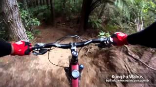 MTB-TV - Rotorua Redwoods - Kung Fu Walrus