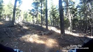 MTB-TV - East Kowen - Sugar Glider and Aunty Flo