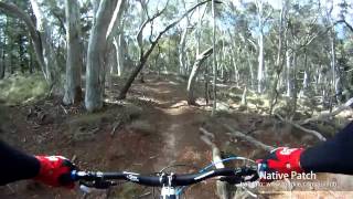 MTB-TV - East Kowen - Native Patch