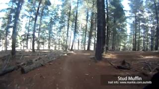 MTB-TV - East Kowen - Stud Muffin