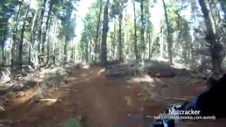 MTB-TV - Sparrow Hill - Dog Stired, Nutcracker...