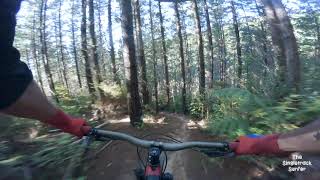 Pear Shaped @ FourForty MTB Park