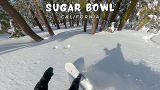 Sugar Bowl: Pow Day | Day 18 S25/26 | Snowboard