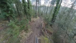 Alpe di Poti - Michelino - MTB POV