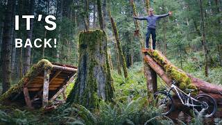 The Return of the Stump Gap. Insane Rebuild!