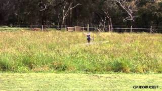 3D Electric Helicopter Cuts Grass