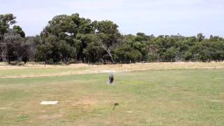 Align Trex 700E Maiden Flight