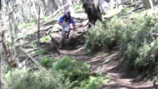 Mt. Buller downhill mountain bike track -...