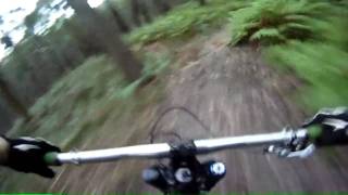 A short track at Doongalla