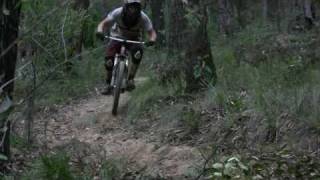 C10 Training Runs