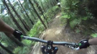 THE track.