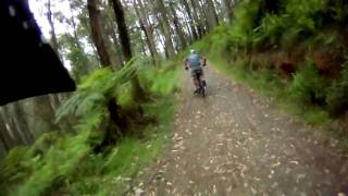 Following Geoff down Mt. Dandenong