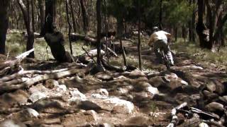 Rider Profile - Jack Moratto