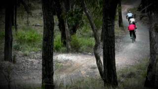 Mt. Dandenong - Doongalla 14.06.09