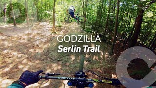GODZILLA, Serlin Trail bike spot, France