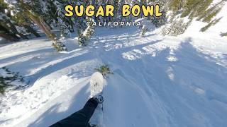 Sugar Bowl: Pow Day | Day 19 S25/26 | Snowboard