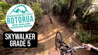 New Jump Line in Rotorua | Sky Walker