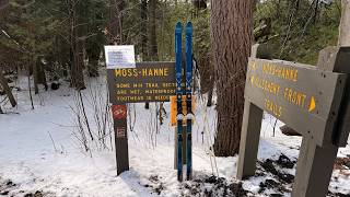 Cross Country Ski - Moss-Hanne Trail (Eastern...