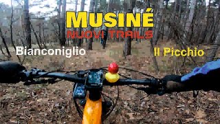 Musiné Trail Area - Bianconiglio e Picchio