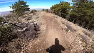 AZ MTB : Pinal Mountain : First Tracks Pinal...