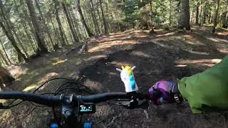 Piste Bleu L'Amanite Mirkwood #mtb #bikepark...