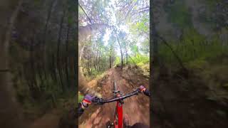 Tatu - Anibal Bike Park