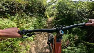 Nikau Valley @ Makara Peak Mountain Bike Park