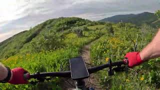 MTB Mahogany Ridge Trail