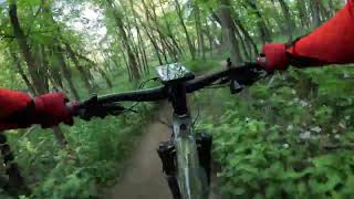 MTB Maple Syrup