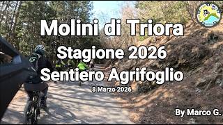 Agrifoglio Molini di Triora stagione 2026