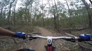 Bunyaville Carnage 2016
