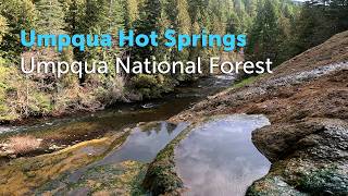 Umpqua Hot Springs - Umpqua National Forest