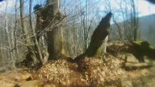 BagneRide - (Strada del Poero)