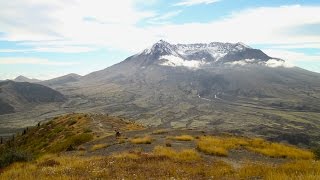 Mount St. Helens, Harry's Ridge - Washington...