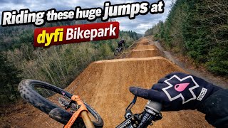 Riding Dyfi Bike Park for the Day | Fast Laps...