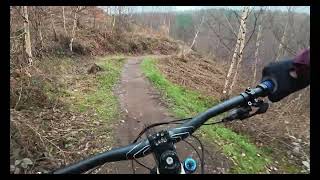 Lower Cliff Trail Highlight - Cannock Chase...