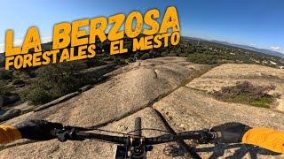 ‍♂️ Forestales ● Mesto ☀️  | La...