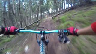 MTB in Giumalau