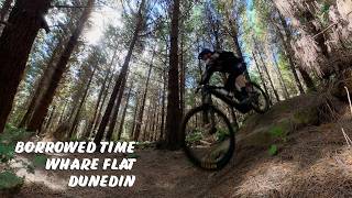Borrowed Time | Whare Flat | Dunedin