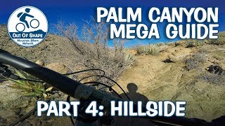 Palm Canyon Epic Mega Guide | Part 4: Hillside