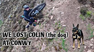 WE LOST COLIN THE DOG UP CONWY MOUNTAIN!