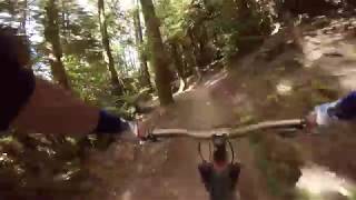 Eagle v Shark v2 @ Whakarewarewa Forest