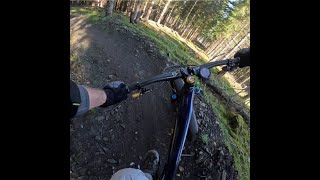Enduro E11 Mirkwood