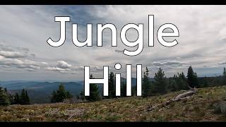 Jungle Hill