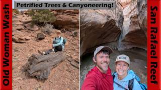 Petrified Trees & Canyoneering in the...