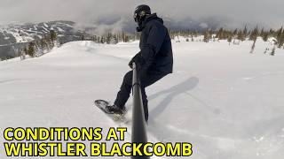 It Snowed, But Was It Enough? Whistler...