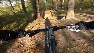 Lasek kurdwanowski enuro mtb