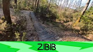 Zibib 28/6/26 Roveta