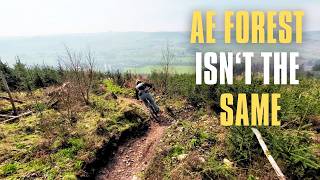 This Won't Be The Ae Forest You Remember | MTB...